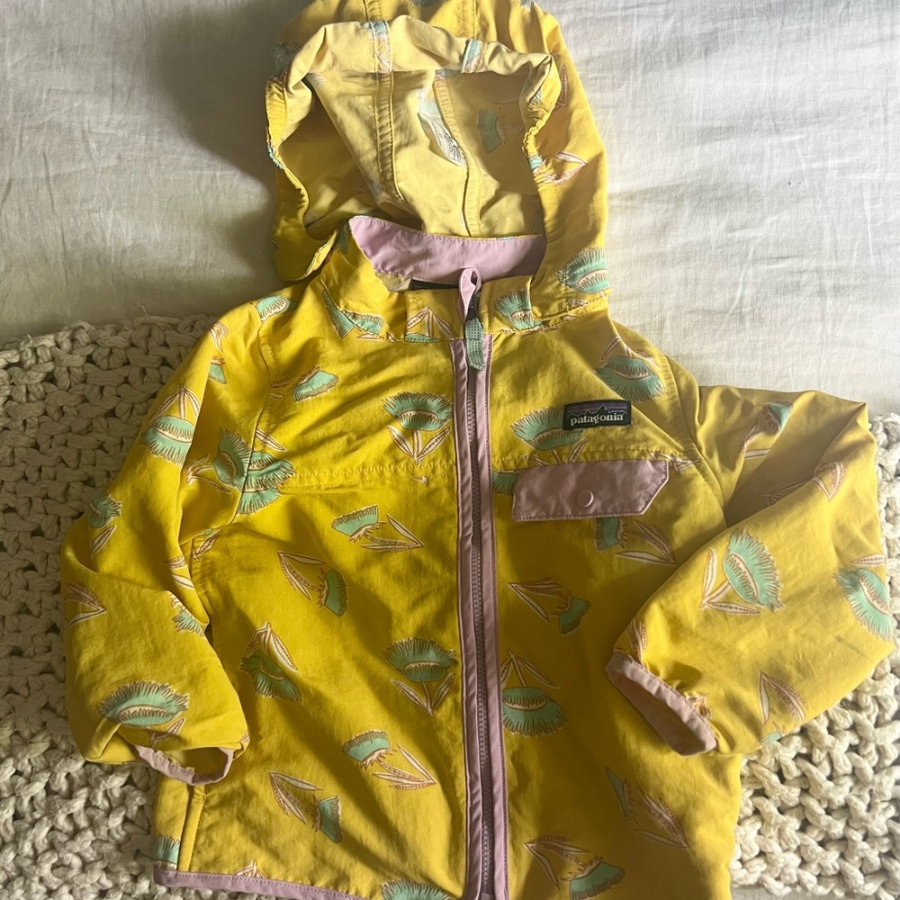 Patagonia Toddler Baggies Jacket, 4T